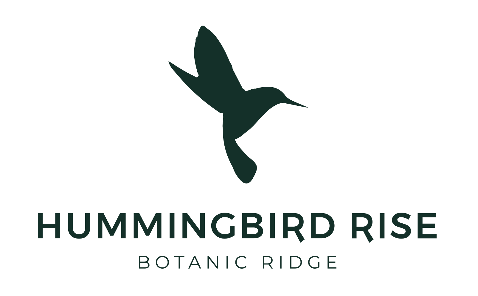 Hummingbird Rise